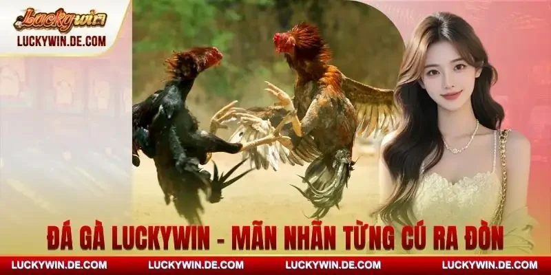 da-ga-luckywin-toan-canh