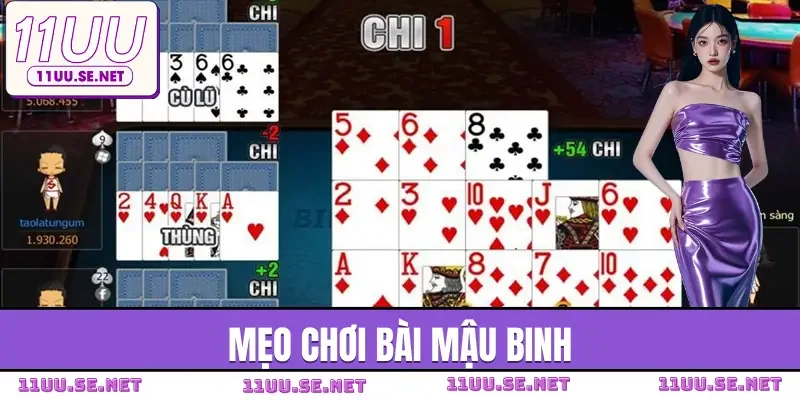 mau-binh-doi-thuong-meo-choi